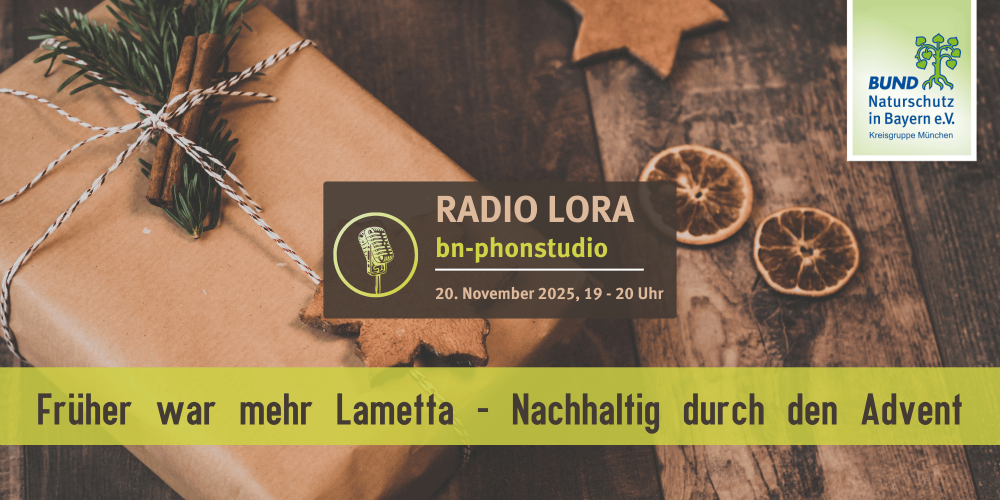 PHONSTUDIO Sendung November 2025