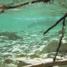 Sendung März 2017 – Vielfalt Nass