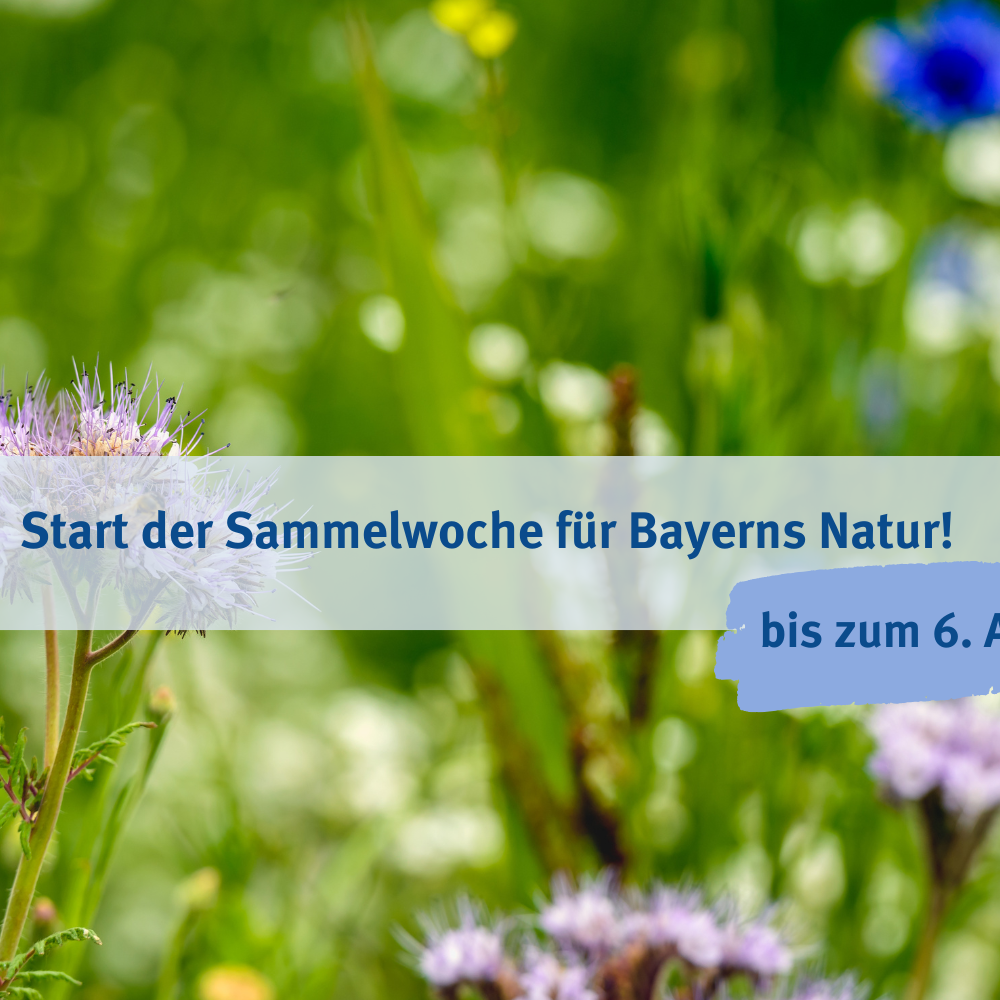 Die Sammelwoche für Bayerns Natur ist gestartet!