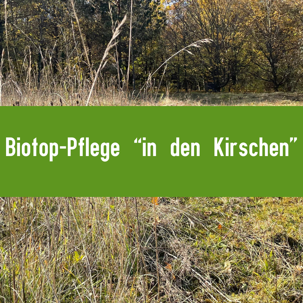 Biotop-Pflege in den Kirschen