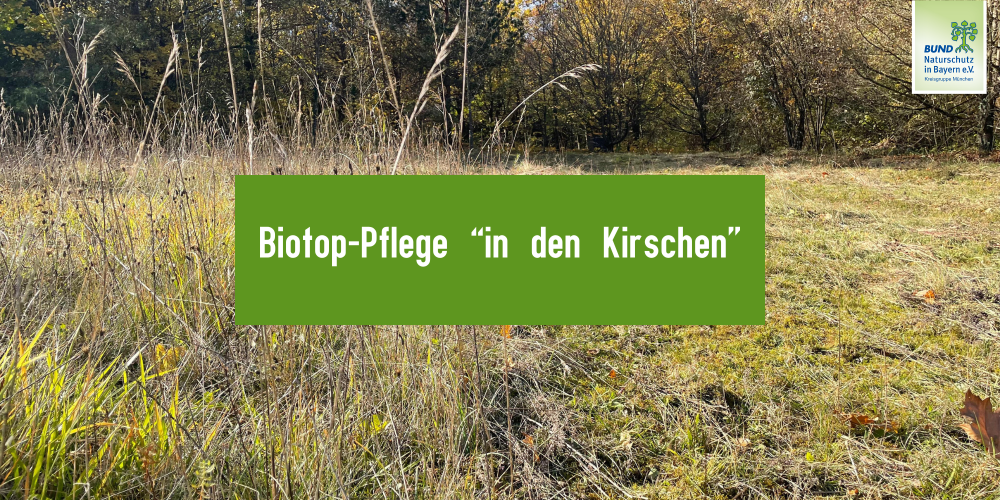 Biotop-Pflege in den Kirschen