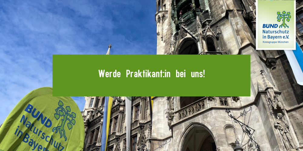Mach dein Praktikum beim BN München!
