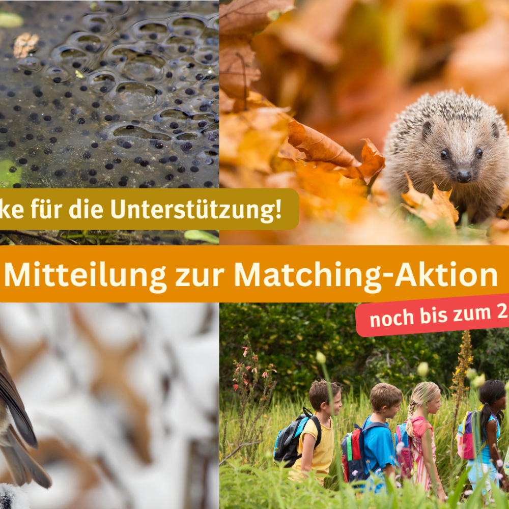 Mitteilung zur Matching-Aktion