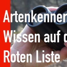 Sendung Juli 2022: Artenkenner: Wissen auf der Roten Liste