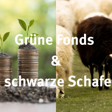 Sendung Dezember 2021: Grüne Fonds & schwarze Schafe