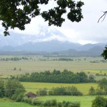 Sendung August 2019: Tipps, nicht nur für einen Sommer