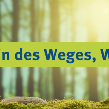 Sendung Januar 2024: Wohin des Weges, Wald?