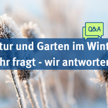 Sendung November 2023: Natur und Garten im Winter – Ihr fragt – wir antworten