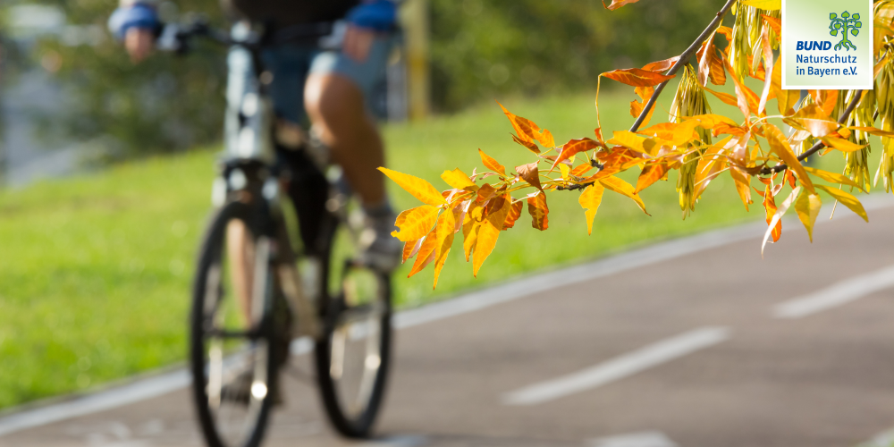 Miniaturansicht-Eintrag