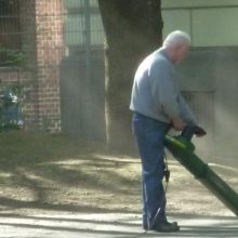 Laubbläser sind Keimschleudern