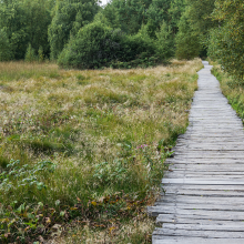 Offener Brief an die Stadtspitze bzgl. CSU-Antrag „LSG Moosgrund stoppen“
