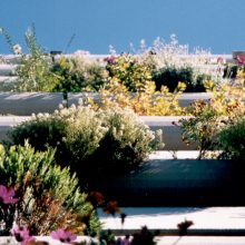 Sendung April 2018 – Unternehmen machen grün