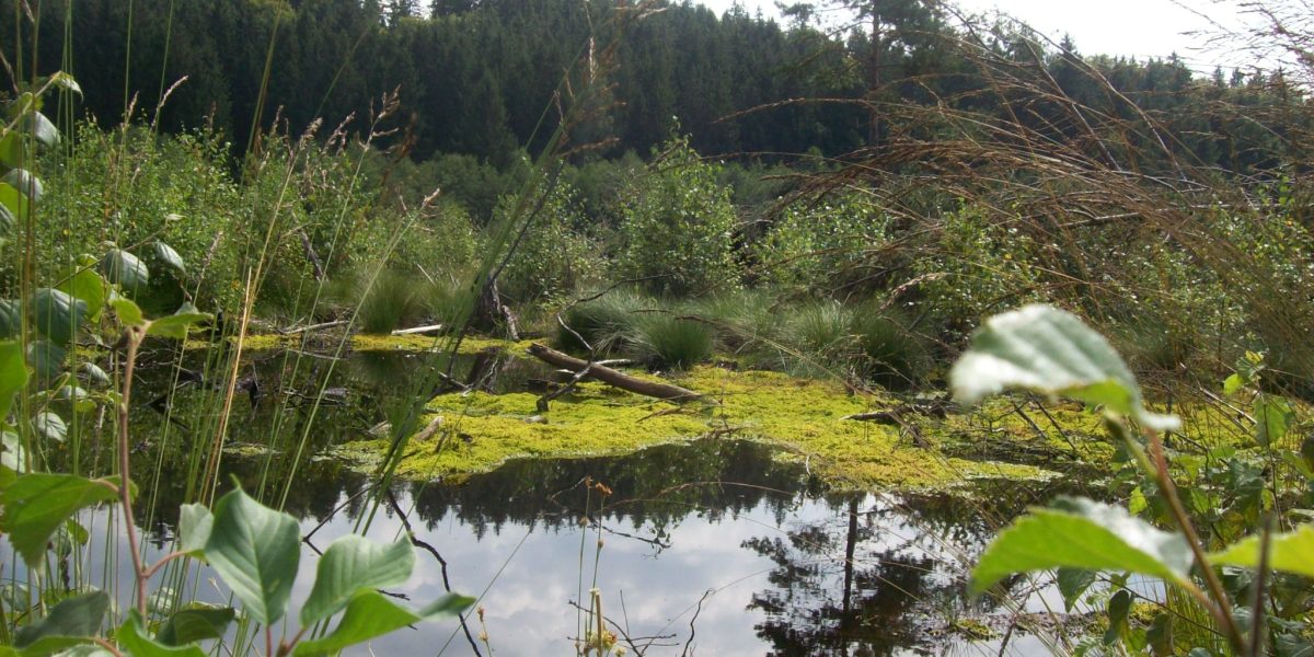 Biotope der Kreisgruppe