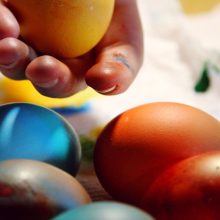 Bunte Eier sind oft Käfig-Eier