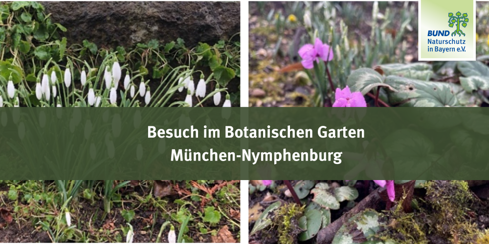 Besuch im Botanischen Garten München-Nymphenburg
