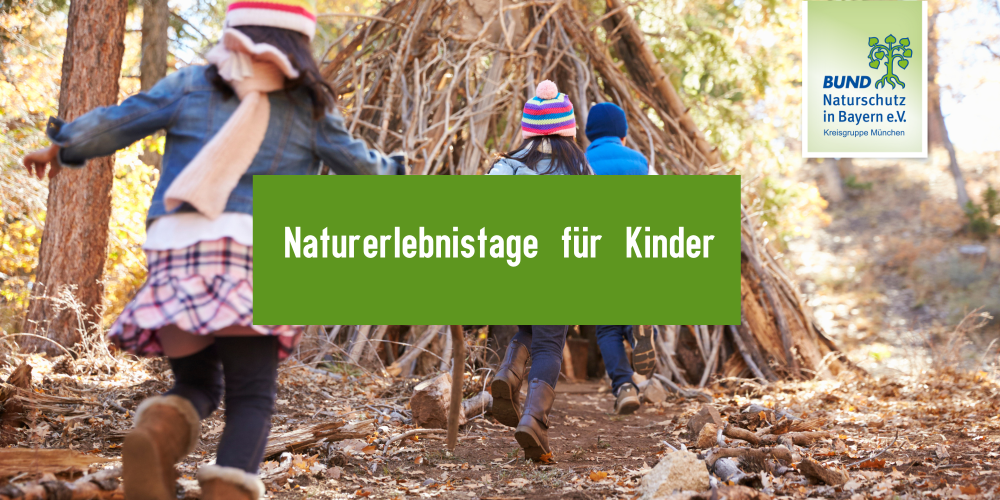 Miniaturansicht-Eintrag