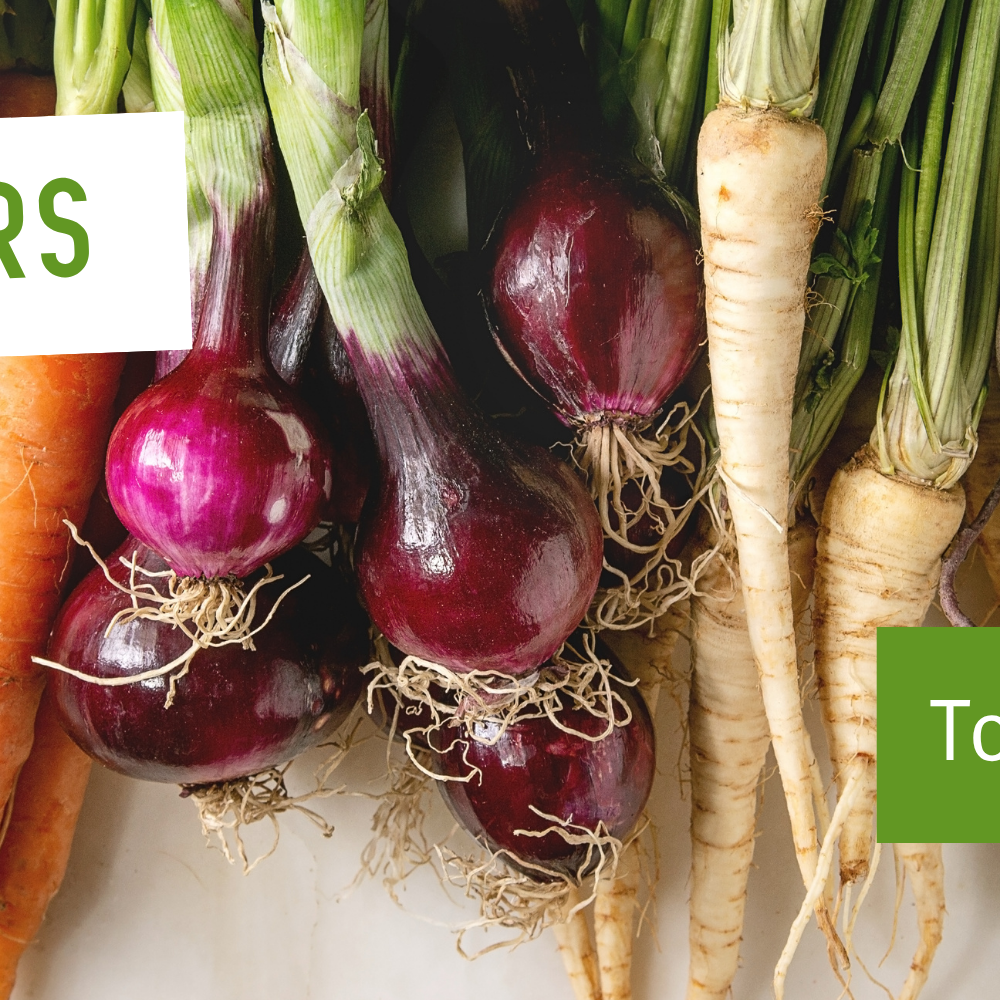 Tolle Knolle – Kochkurs