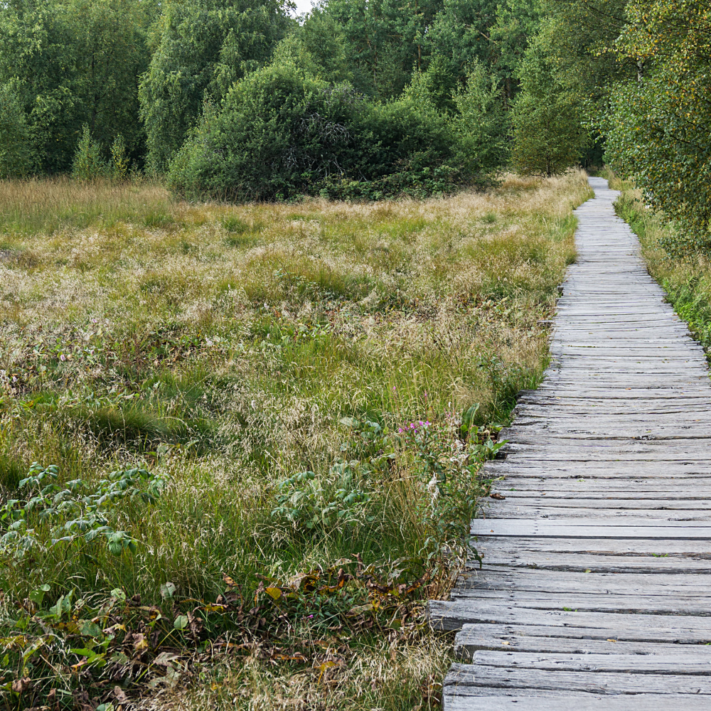 Offener Brief an die Stadtspitze bzgl. CSU-Antrag „LSG Moosgrund stoppen“
