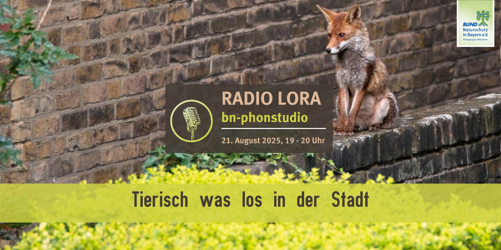 Miniaturansicht-Eintrag