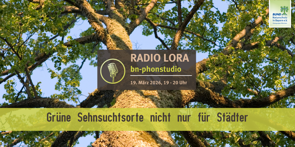 PHONSTUDIO Sendung März 2026