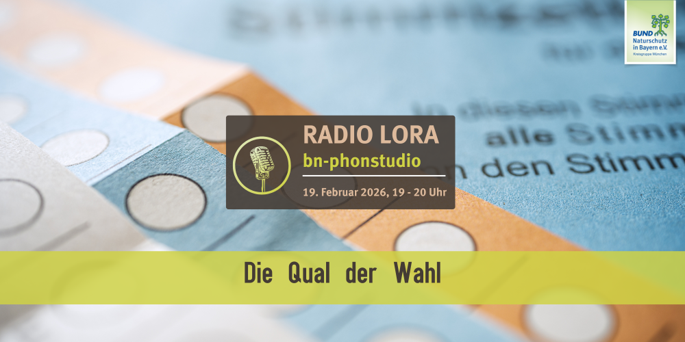 PHONSTUDIO Sendung Februar 2026