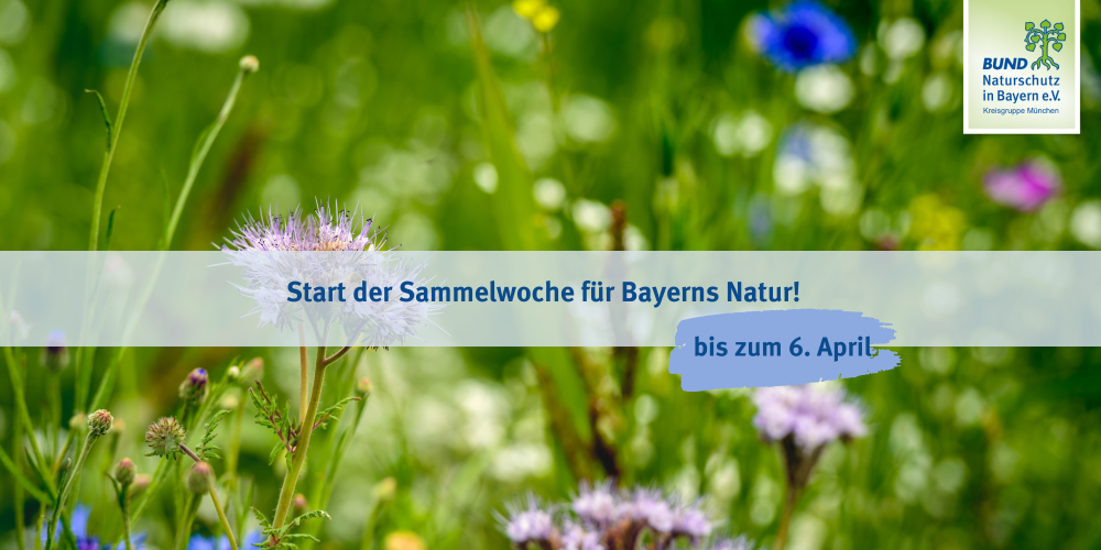 Miniaturansicht-Eintrag