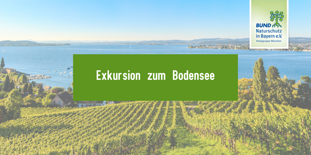 Miniaturansicht-Eintrag