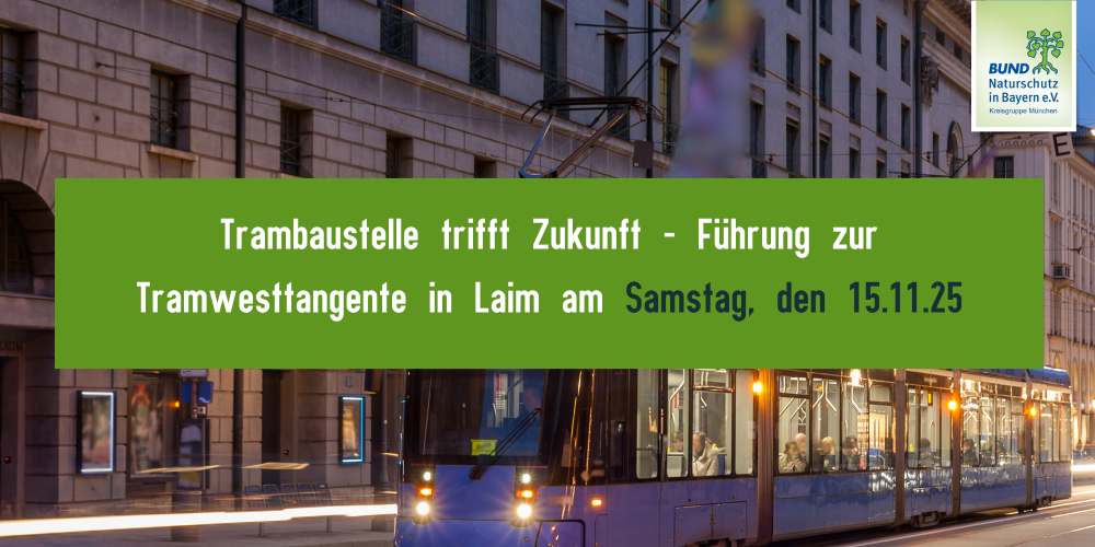 Miniaturansicht-Eintrag