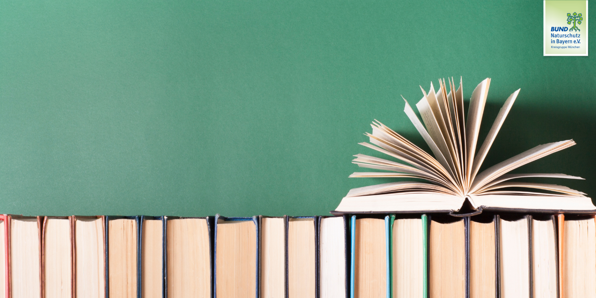 Unsere neuen Rezensionen für das Lesejahr 2026