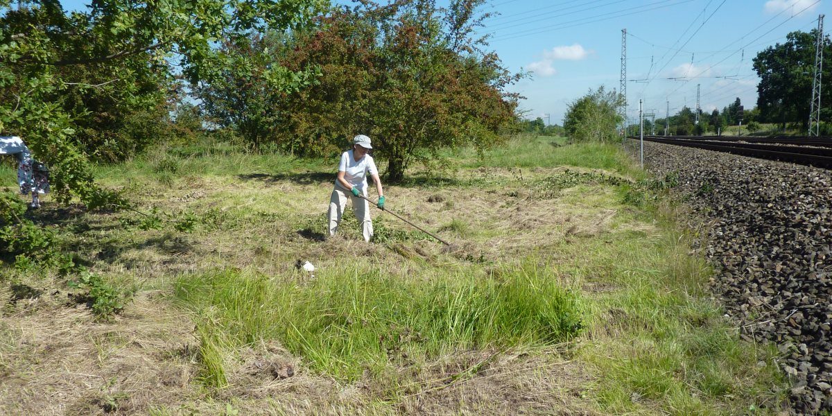 Ortsgruppe München West