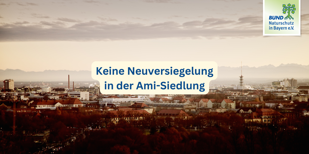Miniaturansicht-Eintrag
