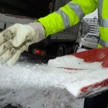 Winterdienst – den Bäumen zuliebe besser  ohne Salz!