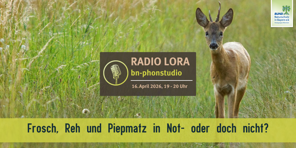 PHONSTUDIO Sendung April 2026
