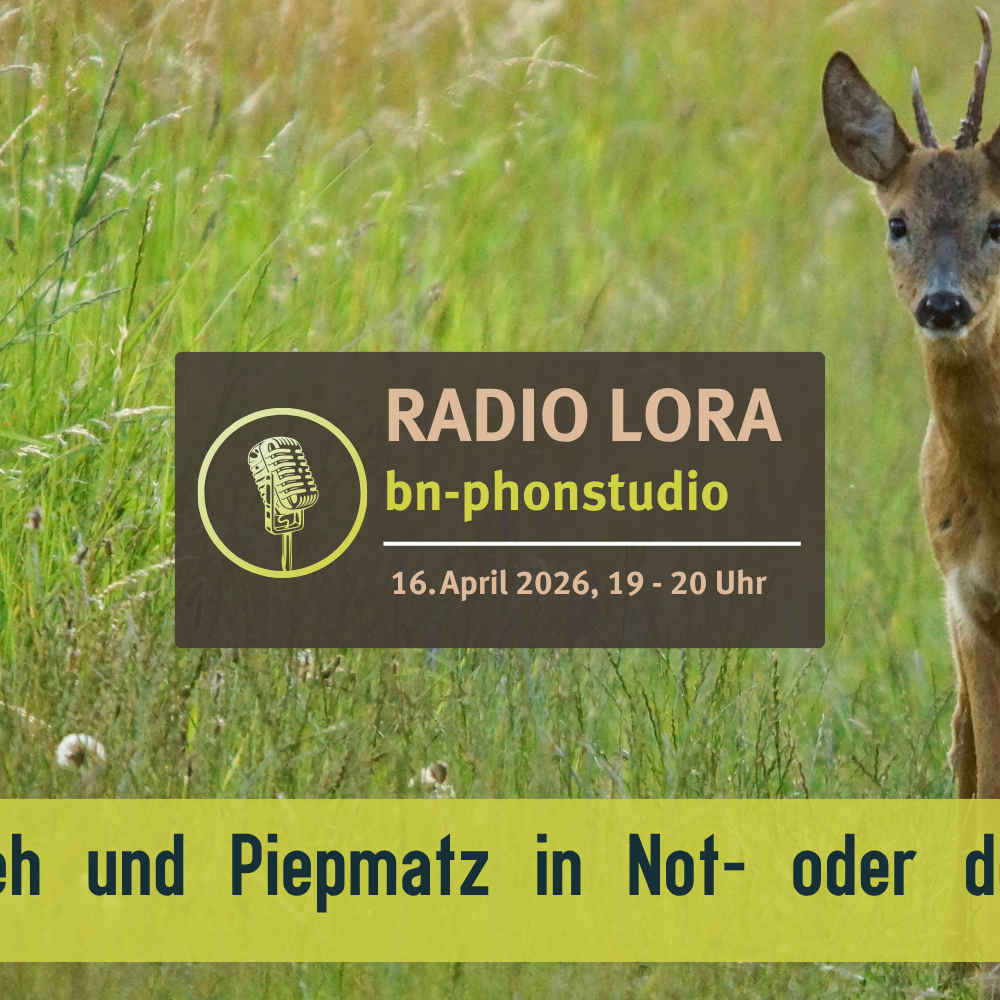 PHONSTUDIO Sendung April 2026