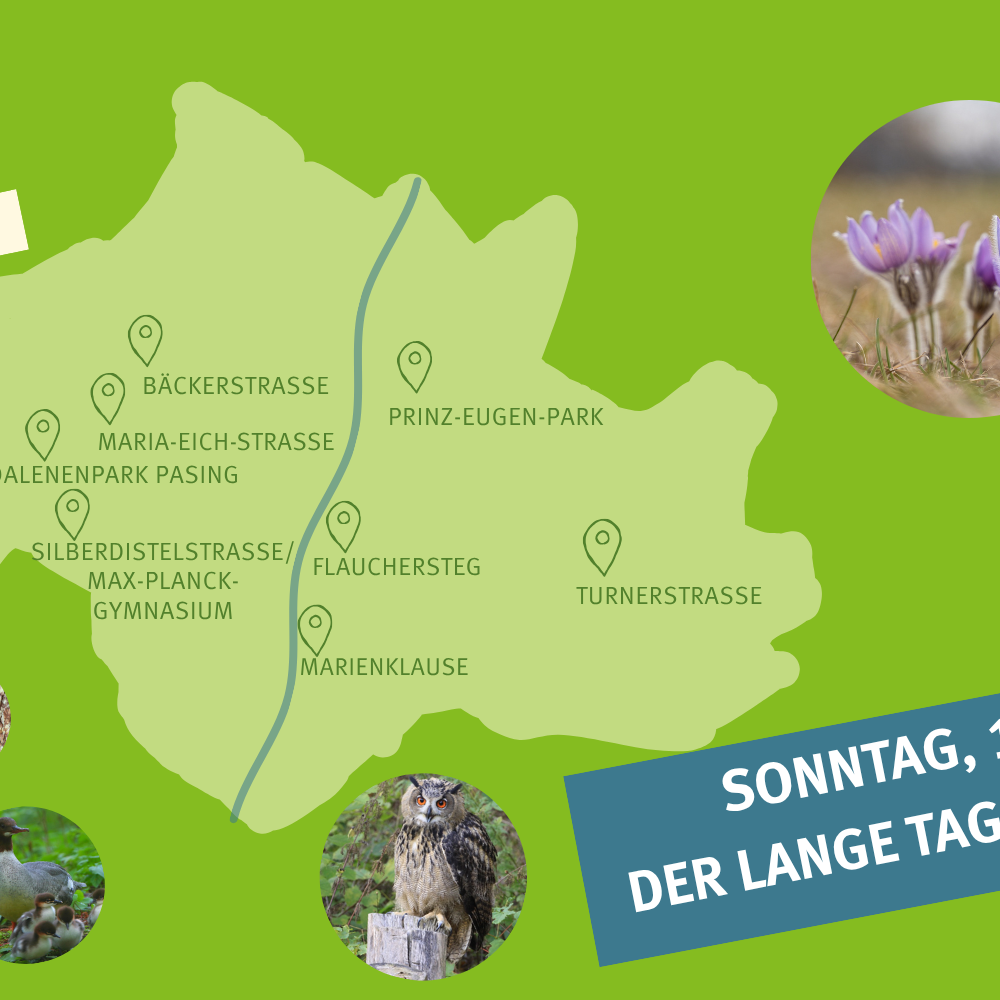 Der Lange Tag der Stadtnatur 2026