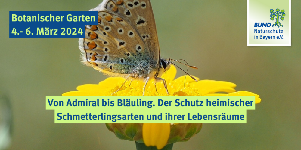 Von Admiral bis Bläuling. Der Schutz heimischer Schmetterlingsarten und ihrer Lebensräume