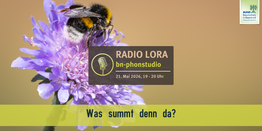 PHONSTUDIO Sendung Mai 2026