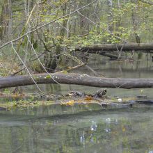 Rettet unser Wasser