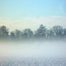 Auf winterlicher Spurensuche in Stadt und Natur