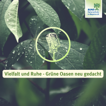 Sendung November 2024: Vielfalt und Ruhe – Grüne Oasen neu gedacht